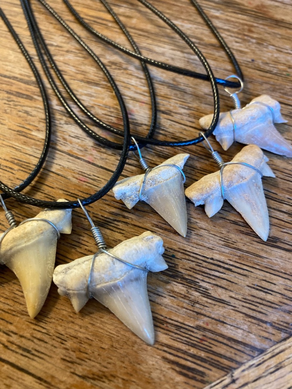 Shark Tooth Pendant Necklace - Natural Cream Teeth on Black Cord